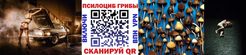 продажа наркотиков  маркетплейс телеграм  Псилоцибиновые грибы ЛСД  Мглин 